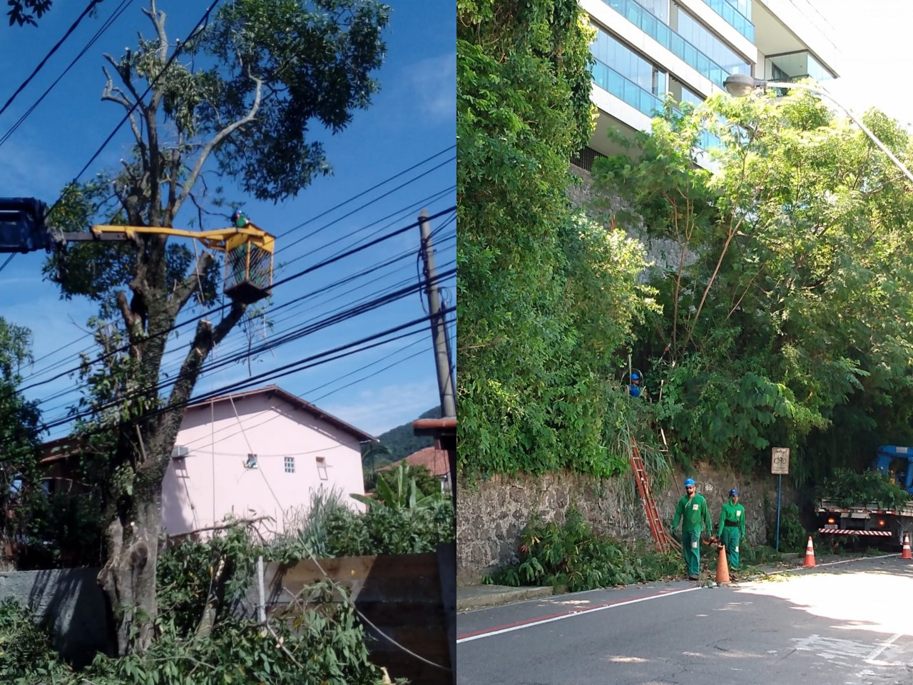 AÇÕES DA EQUIPES DE ARBORIZAÇÃO URBANA NO DIA 19/03/2020