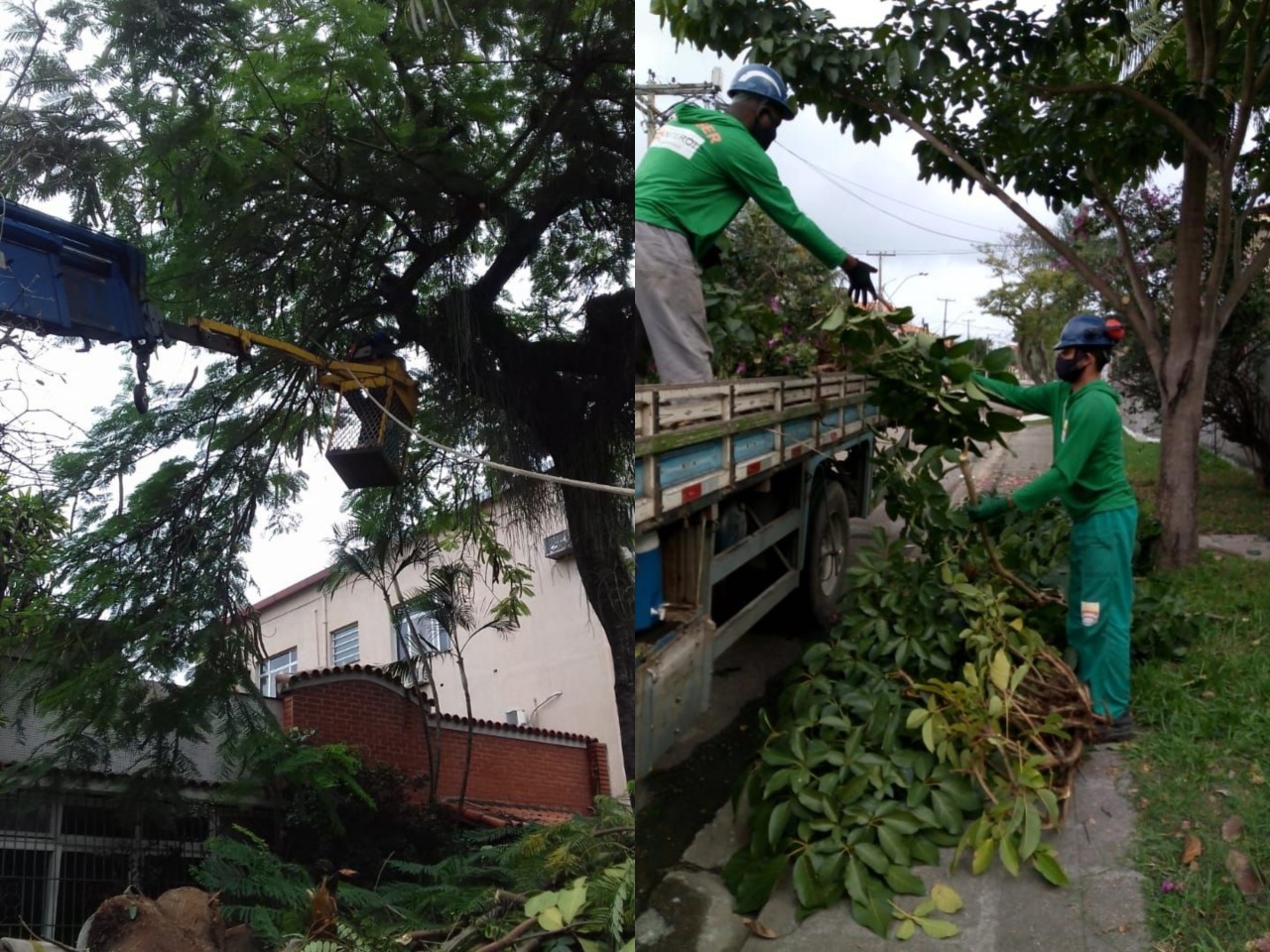 AÇÕES DAS EQUIPES DE ARBORIZAÇÃO NO DIA 15/06/2020