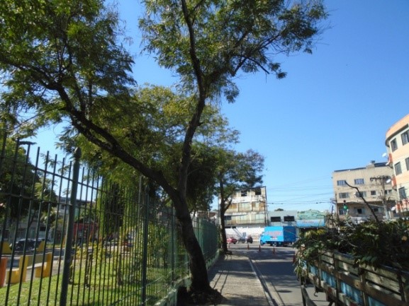 AÇÕES EQUIPES DE ARBORIZAÇÃO URBANA DIA 27/05/2020