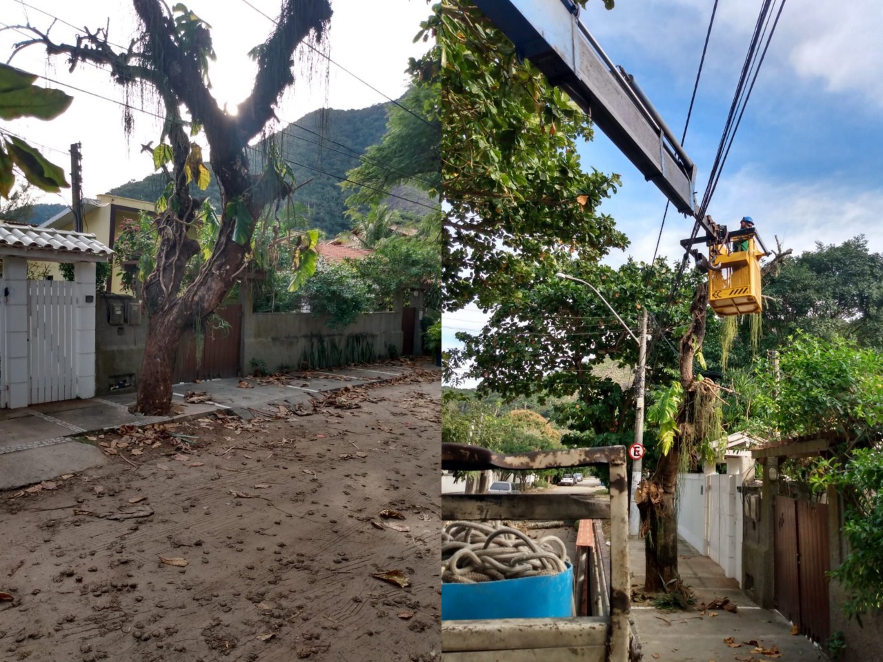 AÇÕES DAS EQUIPES DE ARBORIZAÇÃO URBANA NOS DIAS 22, 23 & 24/05/2020