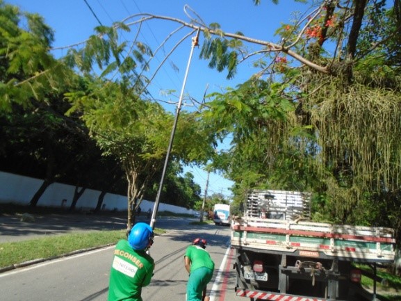 AÇÕES DAS EQUIPE DE ARBORIZAÇÃO URBANA NO DIA 20/02/2020