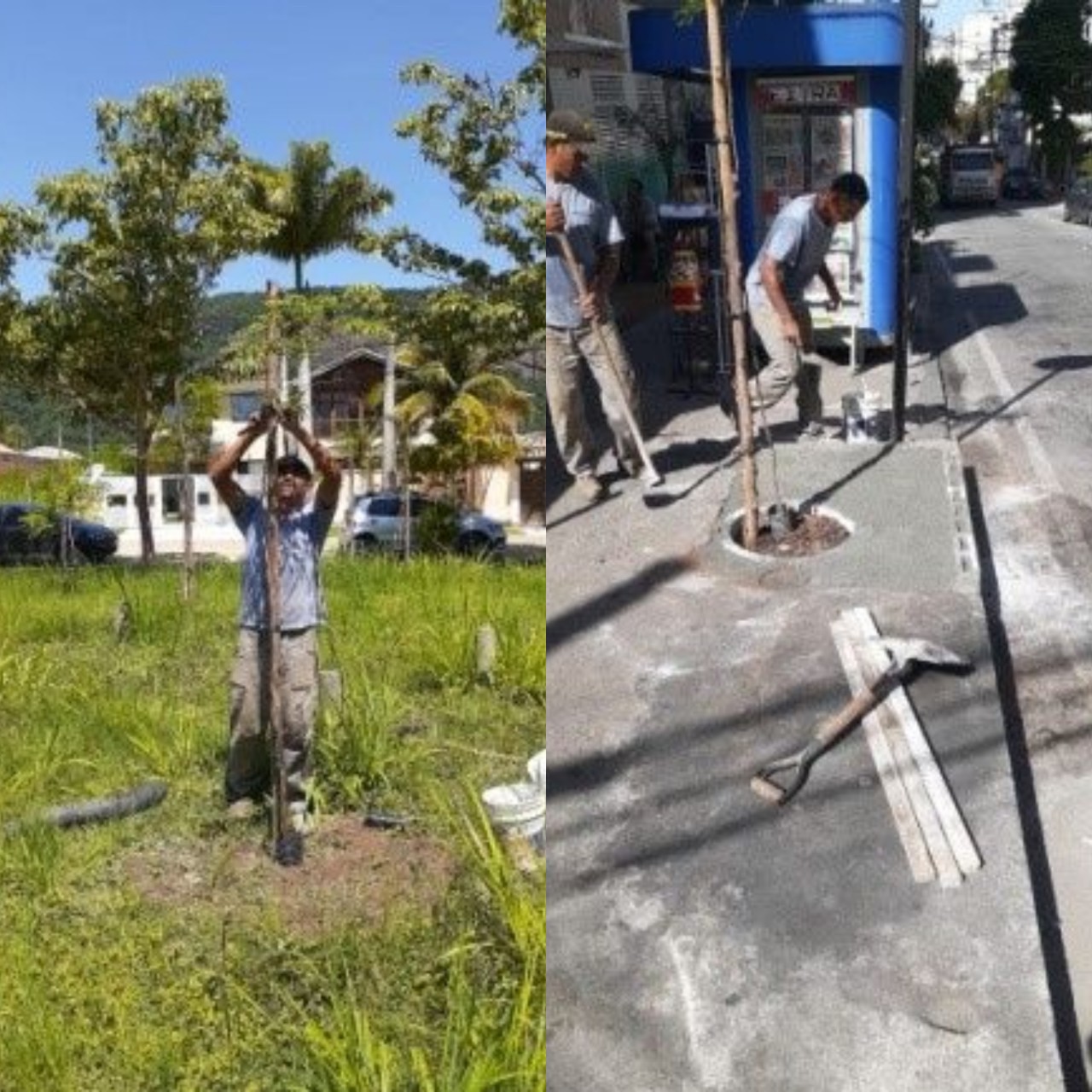 AÇÕES DAS EQUIPE DE ARBORIZAÇÃO URBANA NO DIA 19/02/2020