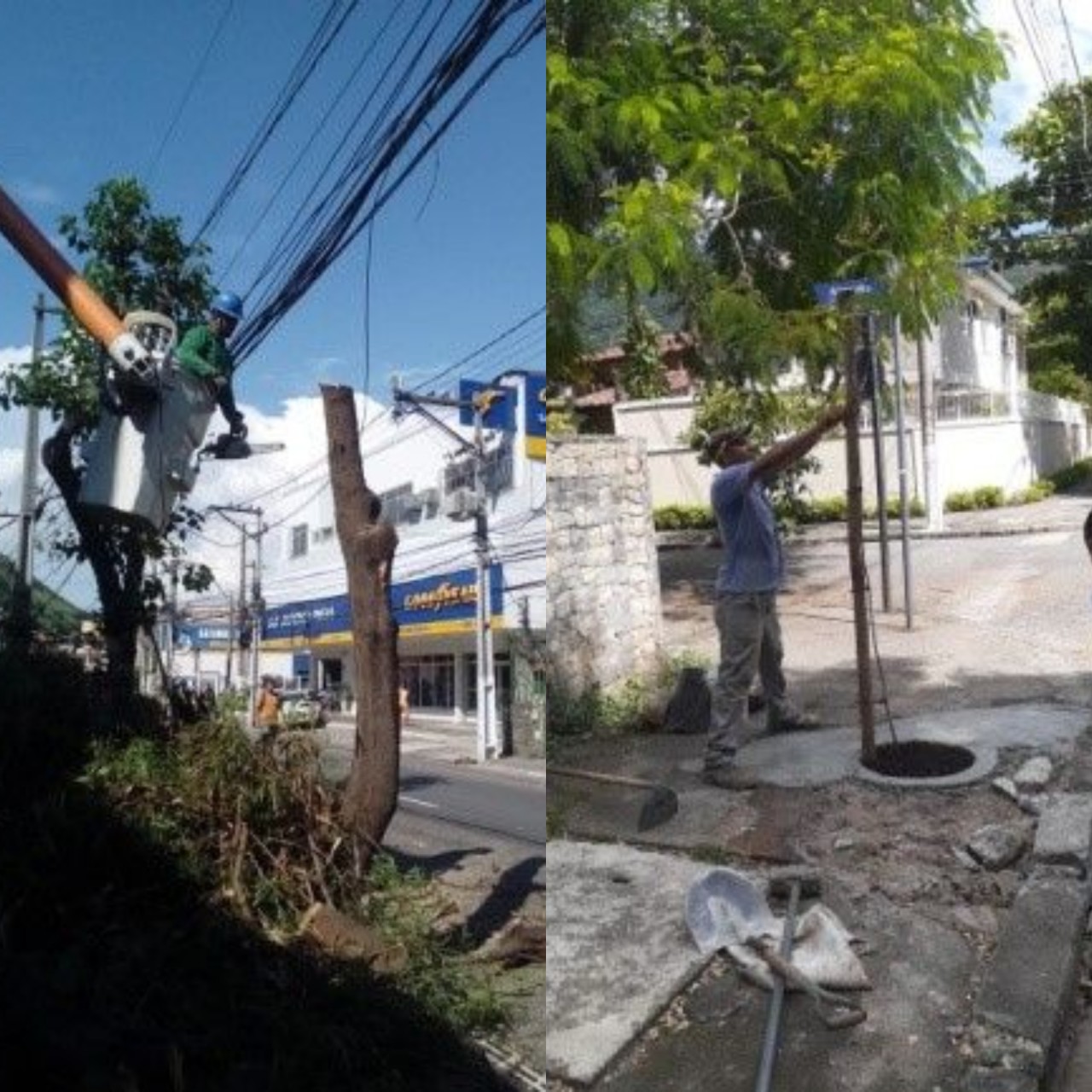 AÇÃO DAS EQUIPES DE ARBORIZAÇÃO URBANA NO DIA 17/02/2020