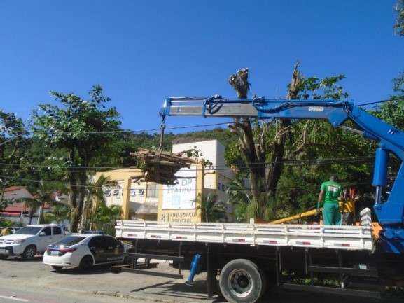 AÇÃO DAS EQUIPES DE ARBORIZAÇÃO URBANA DIA 13/05/2020