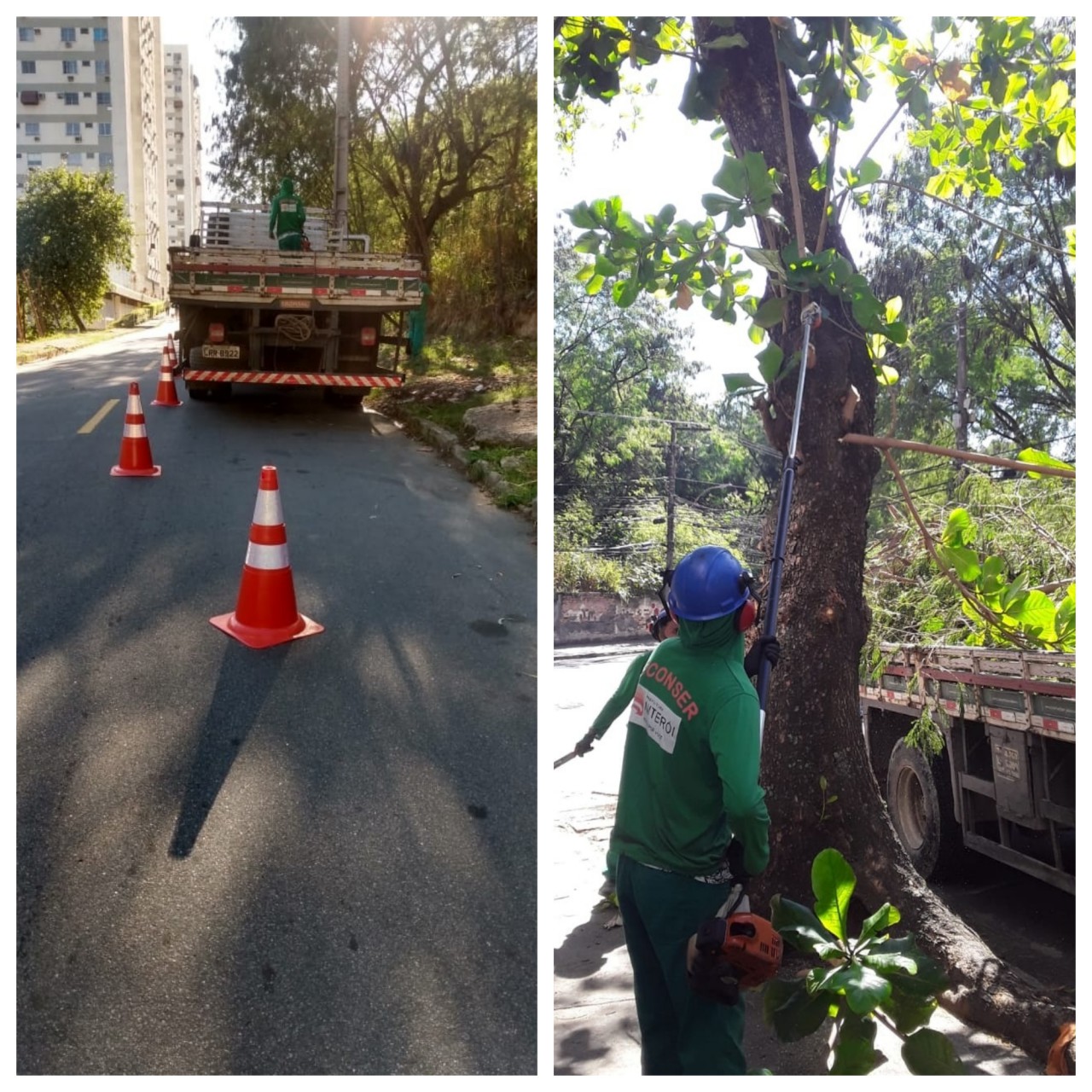 AÇÕES EQUIPES DE ARBORIZAÇÃO URBANA 03/08/2020