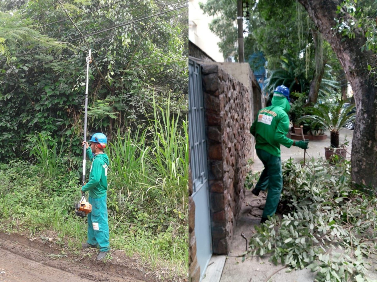 AÇÕES EQUIPES DE ARBORIZAÇÃO URBANA DIA 23/11/2020