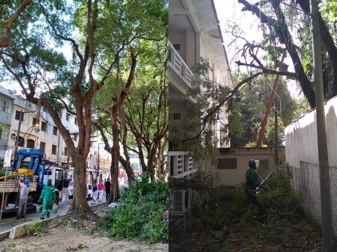 AÇÕES EQUIPES DE ARBORIZAÇÃO URBANA DIA 25/11/2020