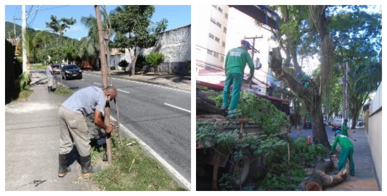 AÇÕES EQUIPES DE ARBORIZAÇÃO URBANA DIA 14/01/2021