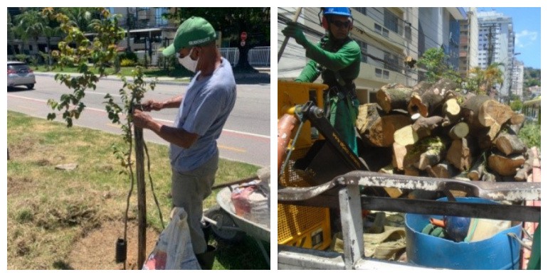 AÇÕES EQUIPES DE ARBORIZAÇÃO URBANA DIA 15/01/2021