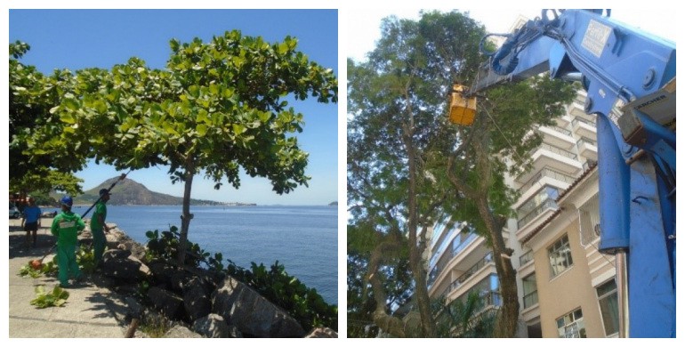 AÇÕES EQUIPES DE ARBORIZAÇÃO URBANA DIA 18/01/2021