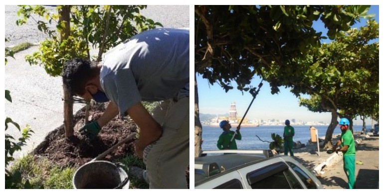 AÇÕES EQUIPES DE ARBORIZAÇÃO URBANA DIA 19/01/2021