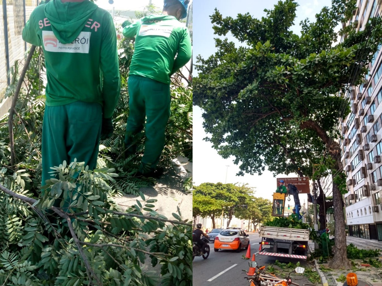 SERVIÇOS DE ARBORIZAÇÃO URBANA NOS DIAS 19 & 20/02/2021