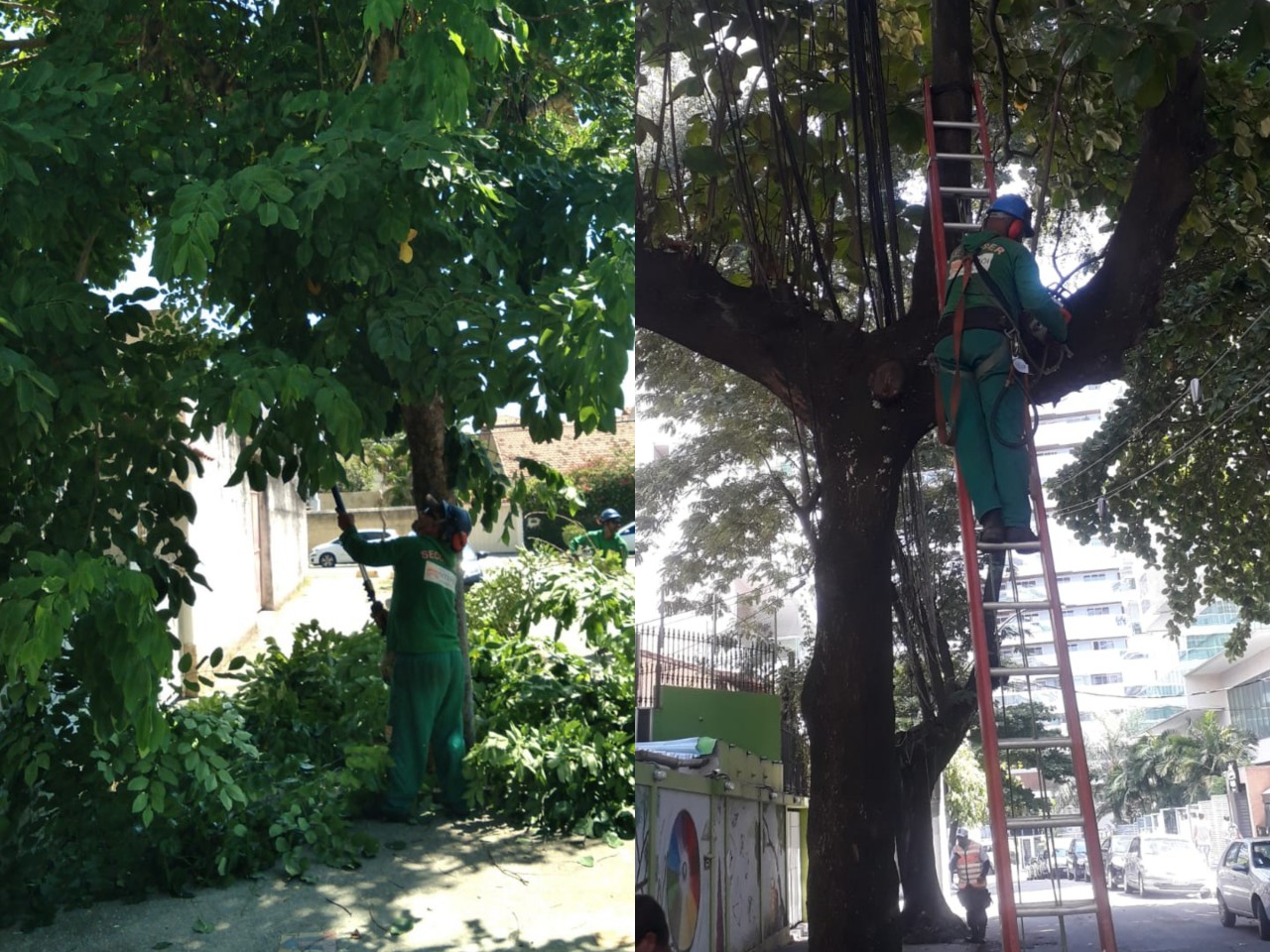 Serviços de Arborização Urbana no dia 24/02