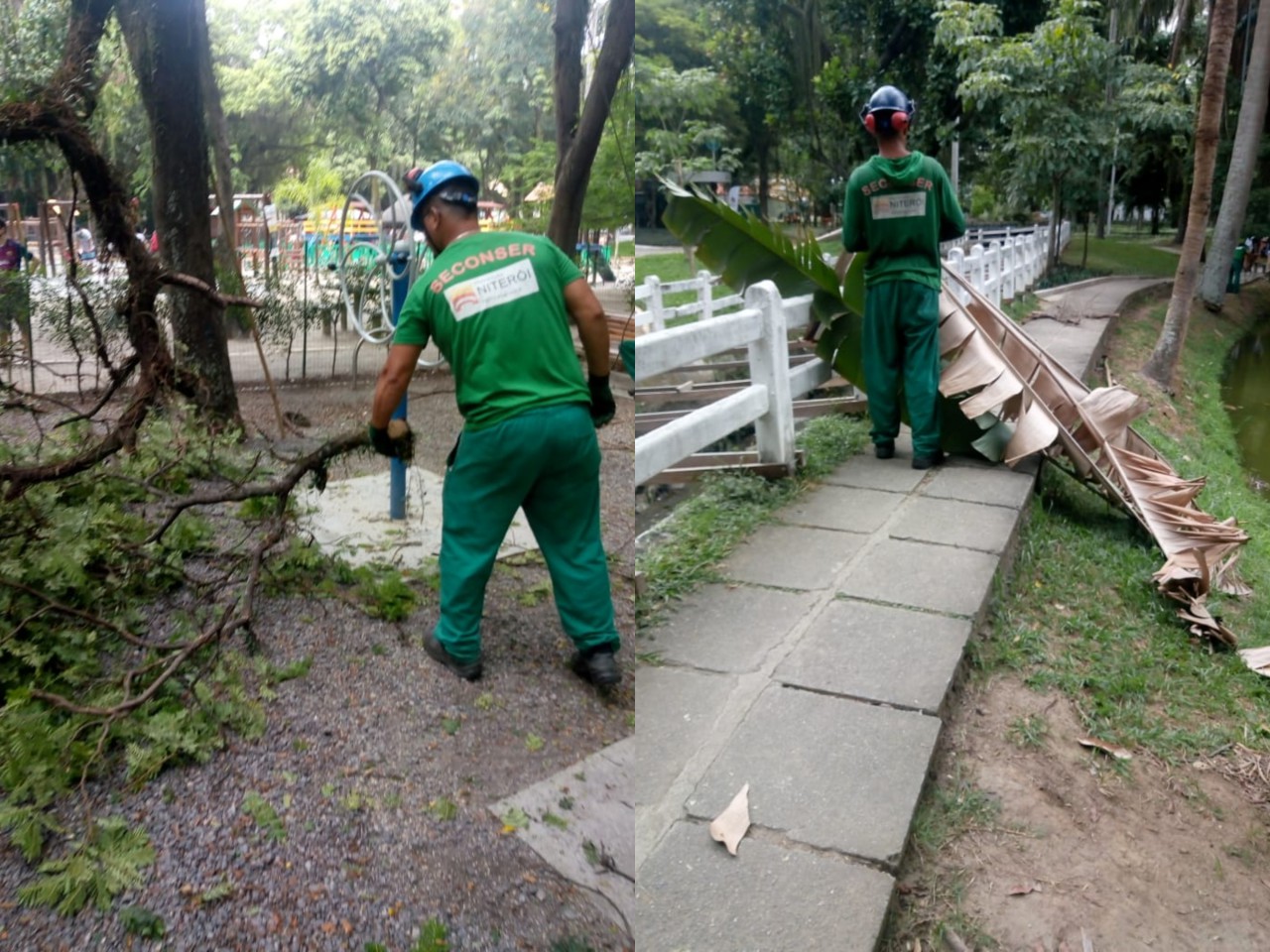 Serviços de Arborização Urbana no dia 25/02/2021