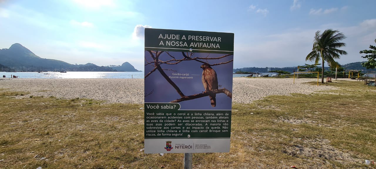 avifauna