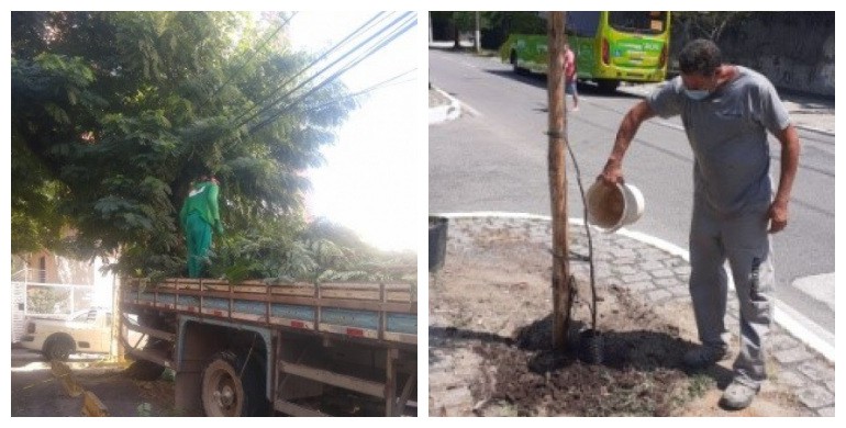 AÇÕES EQUIPES DE ARBORIZAÇÃO URBANA DIA 15/03/2021