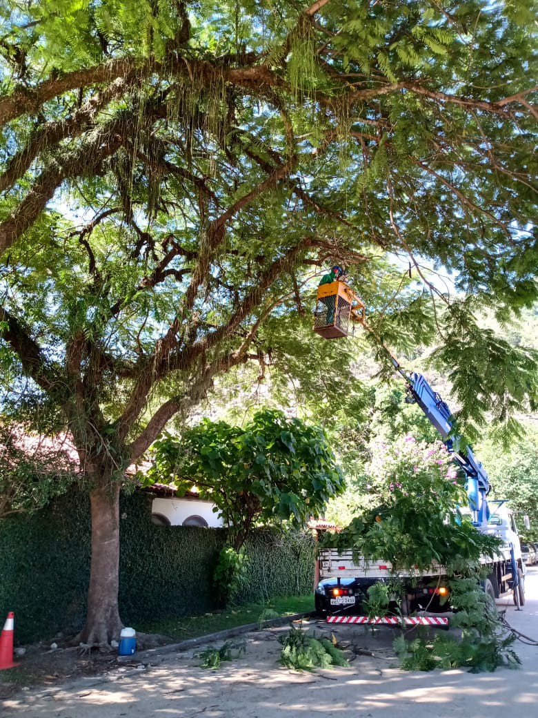 Ações das equipes de Arborização Urbana no dia 12/04