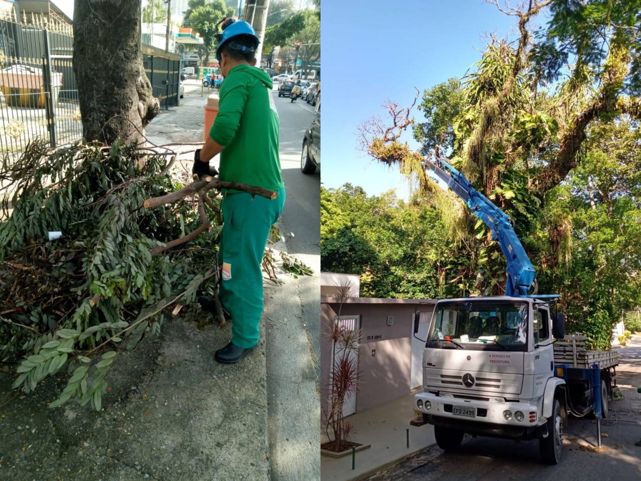 Ações das equipes de Arborização Urbana no dia 14/04