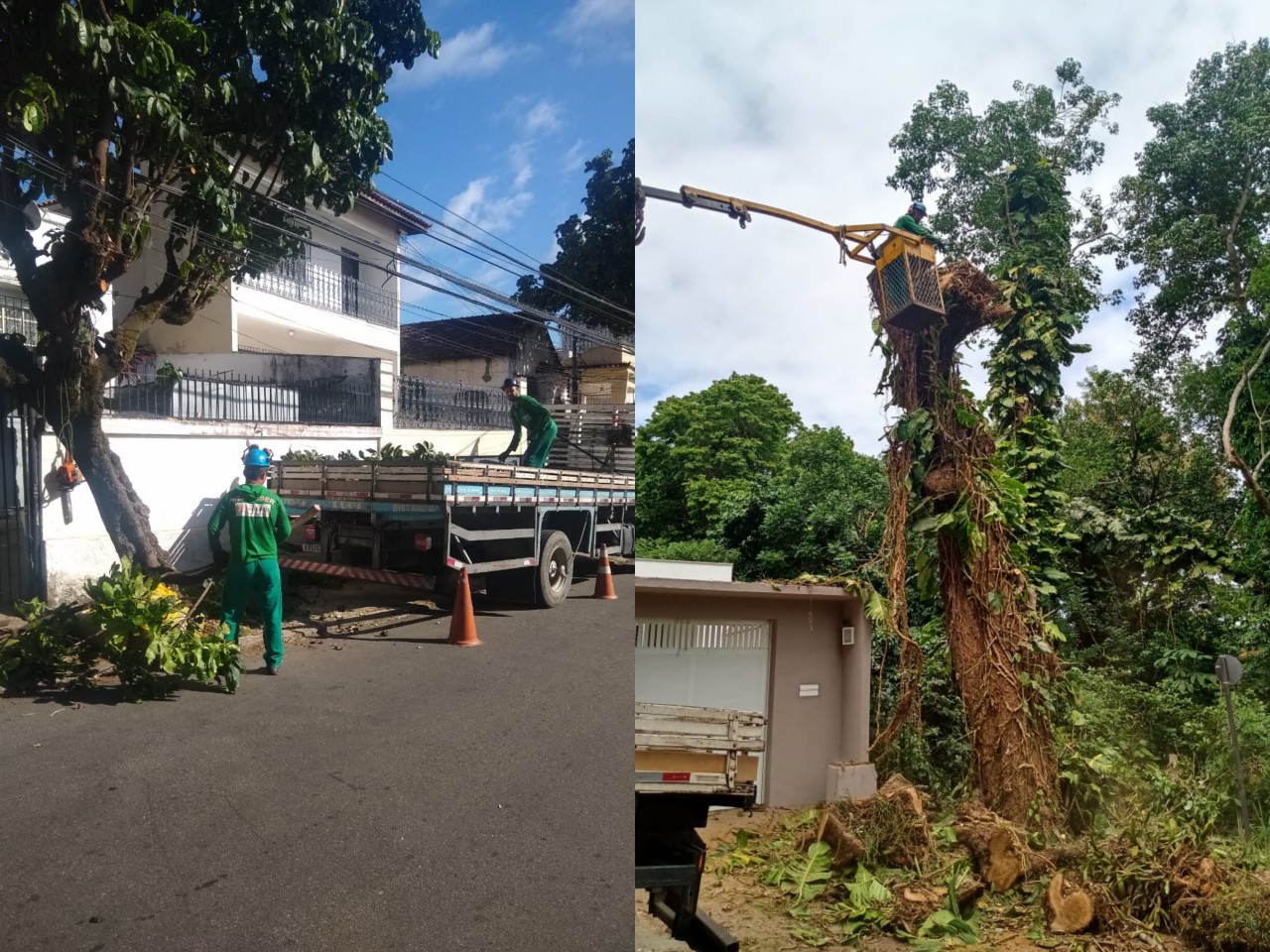 Ações das equipes de Arborização Urbana no dia 15/04