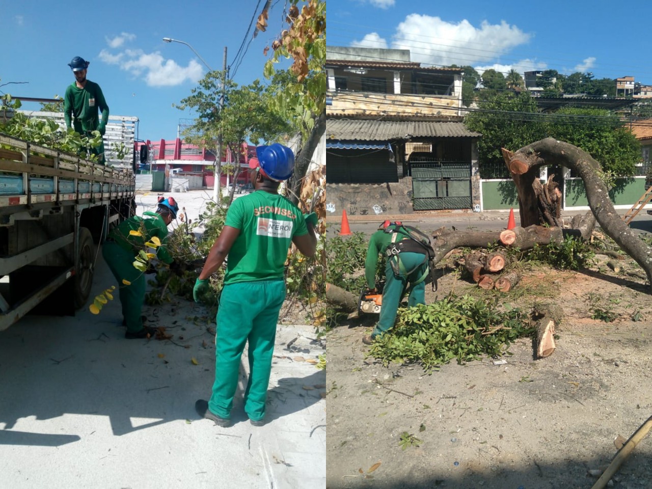 Ações das equipes de Arborização Urbana nos dias 16, 17 e 18/04