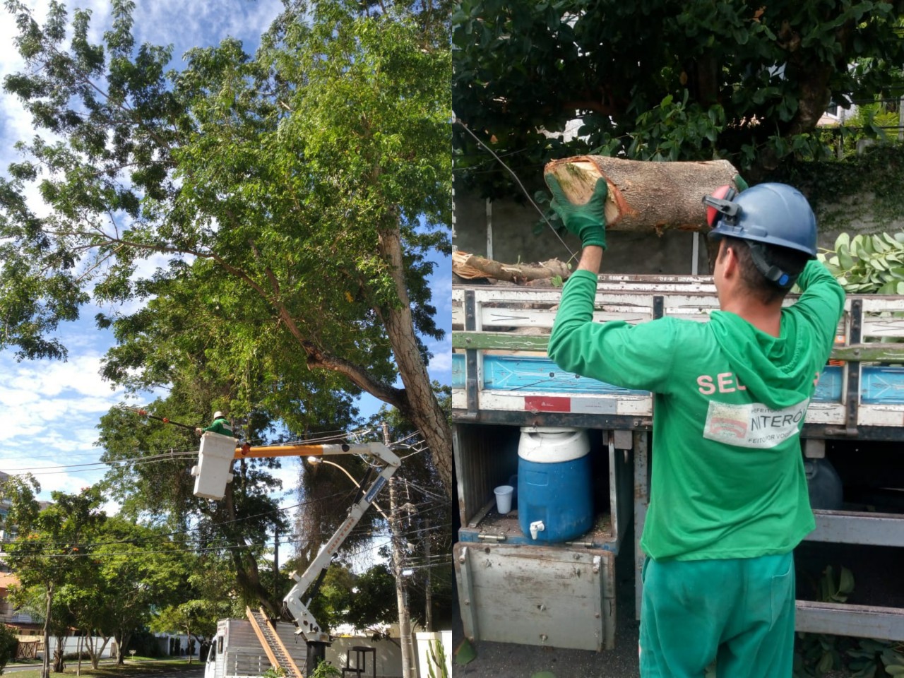 Ações das equipes de Arborização Urbana no dia 19/04