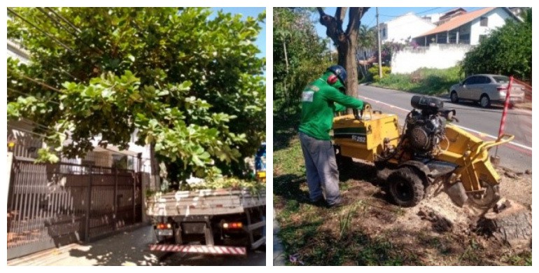 AÇÕES EQUIPES DE ARBORIZAÇÃO URBANA DIA 05/05