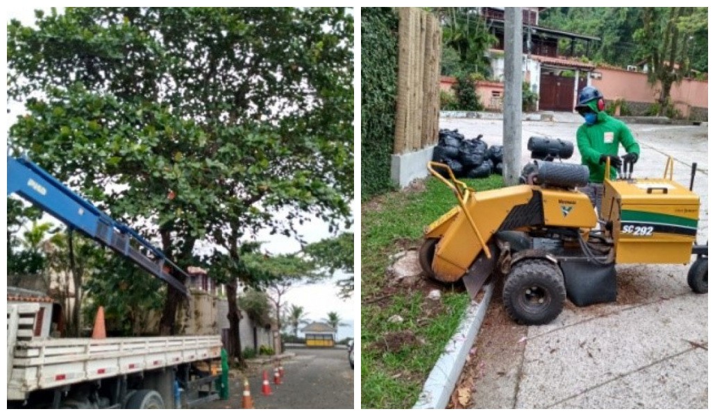 AÇÕES EQUIPES DE ARBORIZAÇÃO URBANA DIA 07/05/2021