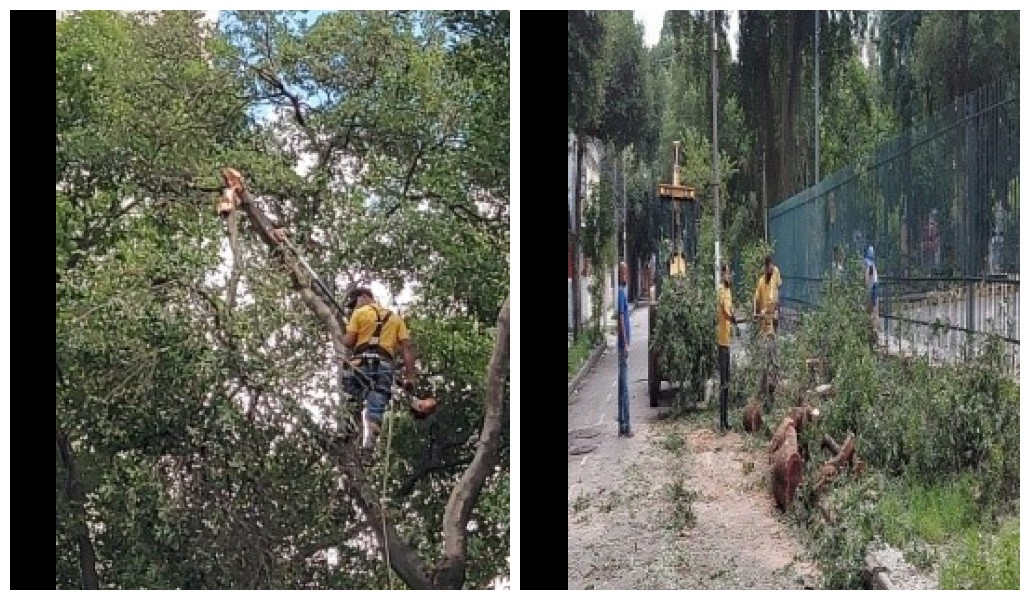 AÇÕES EQUIPES DE ARBORIZAÇÃO URBANA DIA 09/05/2021