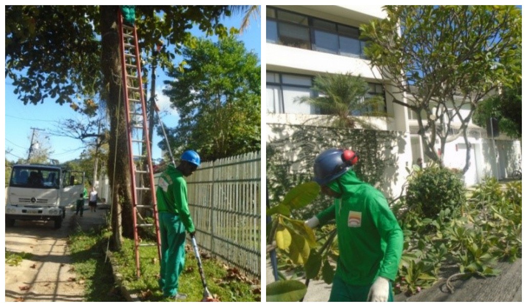 AÇÕES EQUIPES DE ARBORIZAÇÃO URBANA DIA 10/05/2021