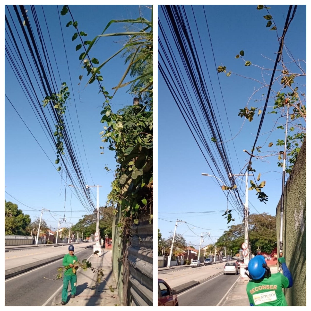 AÇÕES EQUIPES DE ARBORIZAÇÃO URBANA DIA 13/07/2021