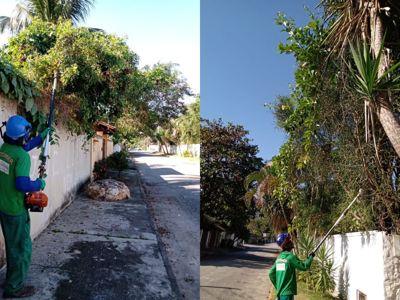 Ações das equipes de Arborização no dia 15/07/2021