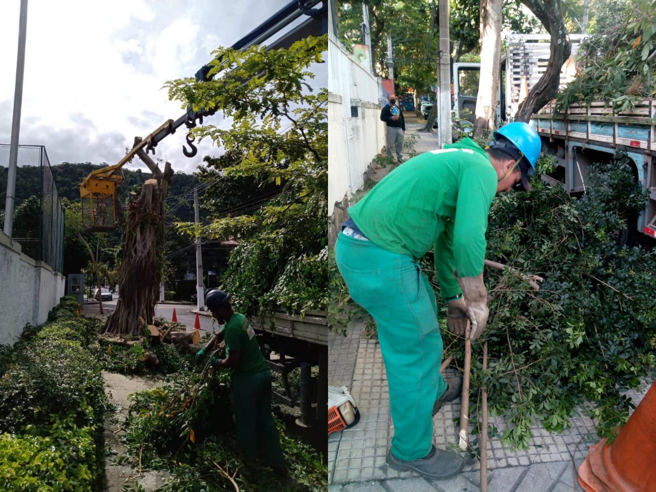 Ações das equipes de Arborização Urbana no dia 20/07