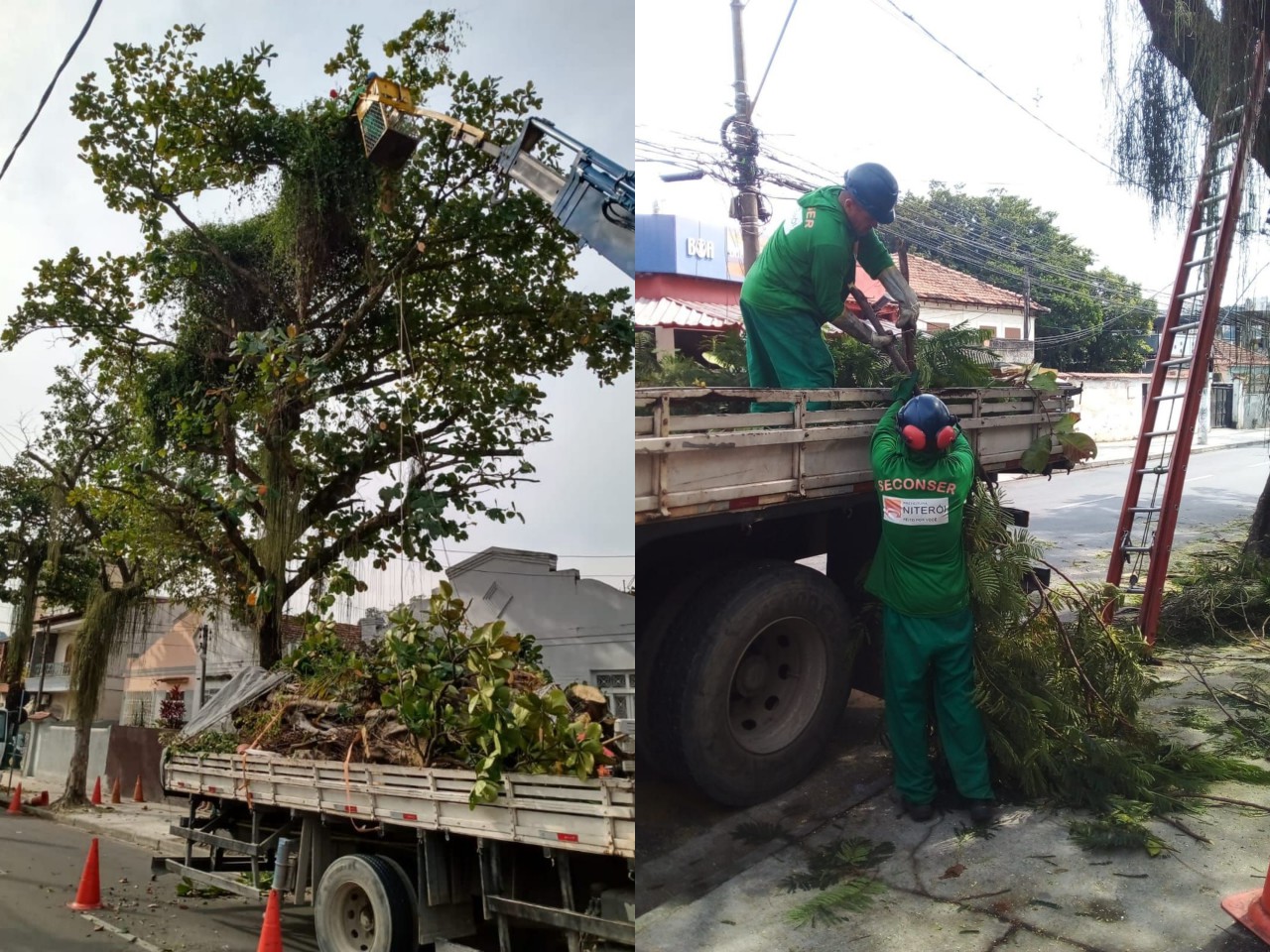 Ações das equipes de Arborização Urbana no dia 21/07/2021