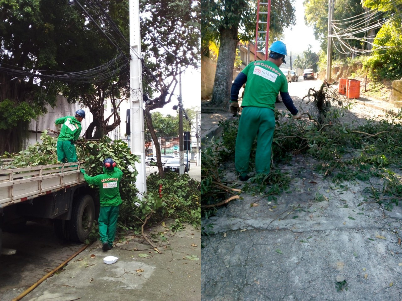 Ações das equipes de Arborização Urbana em 22/07