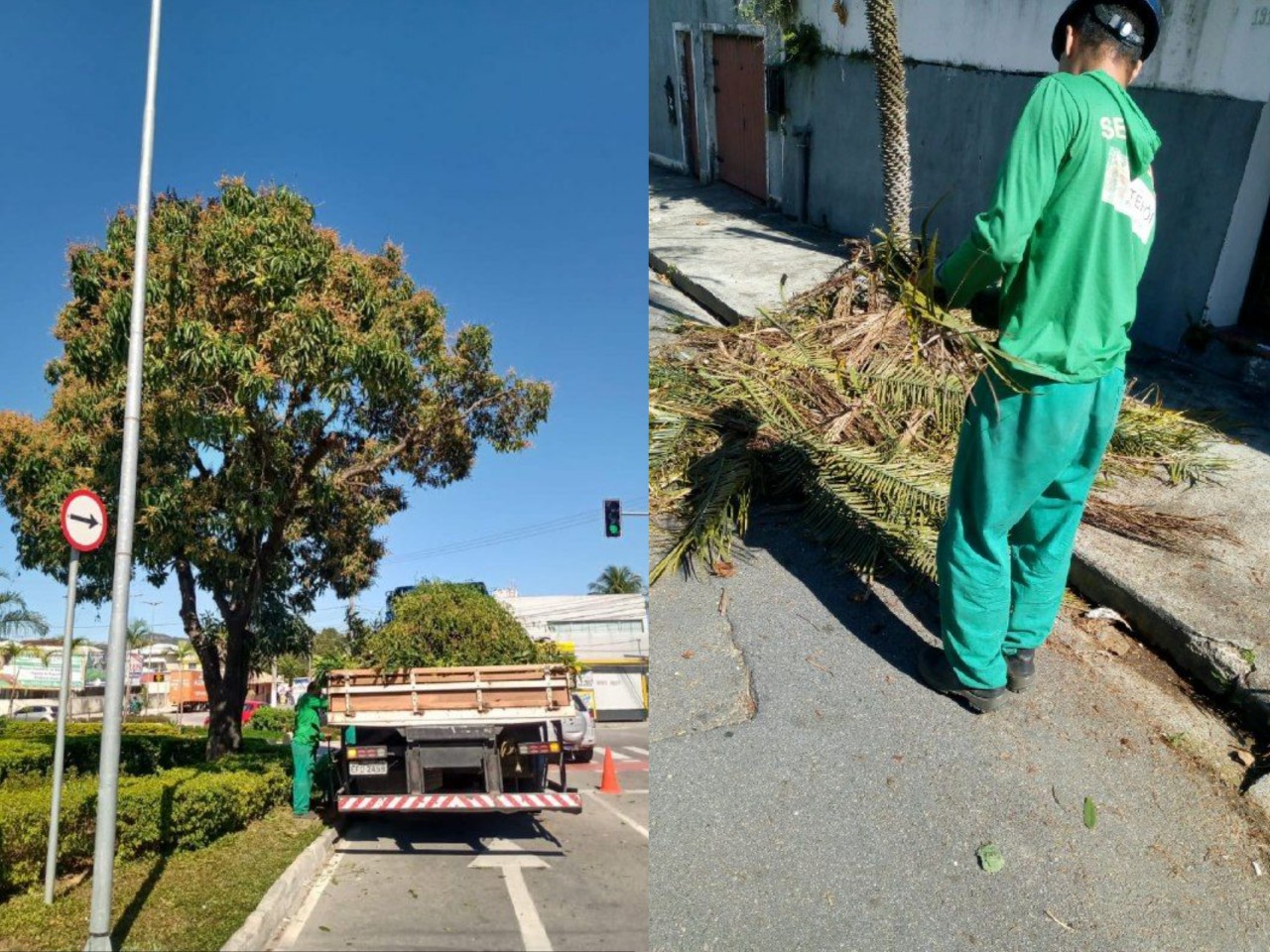 AÇÕES EQUIPES DE ARBORIZAÇÃO URBANA DIA 09/08/2021