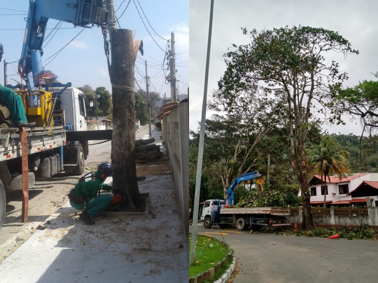 AÇÕES EQUIPES DE ARBORIZAÇÃO URBANA DIA 11/08/2021