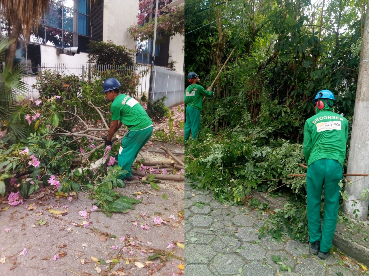 Ações das equipes de Arborização Urbana (06 & 07/09/2021)