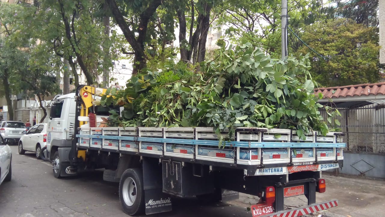 Ações das equipes de Arborização Urbana (10, 11 & 12/09/2021)