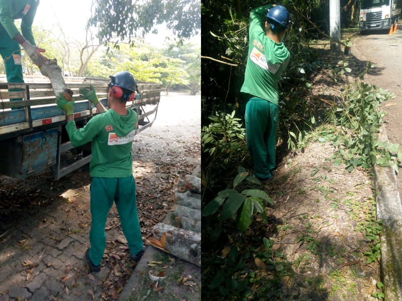 Ações das equipes de Arborização Urbana (14/09/2021)