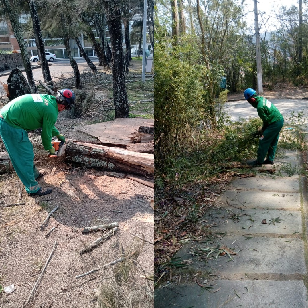 AÇÕES EQUIPE DE ARBORIZAÇÃO URBANA DIA 27/09/2021