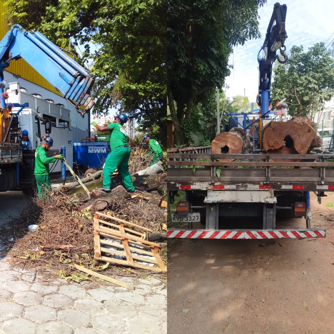 AÇÕES DA EQUIPE DE ARBORIZAÇÃO URBANA DIA 29/09/2021