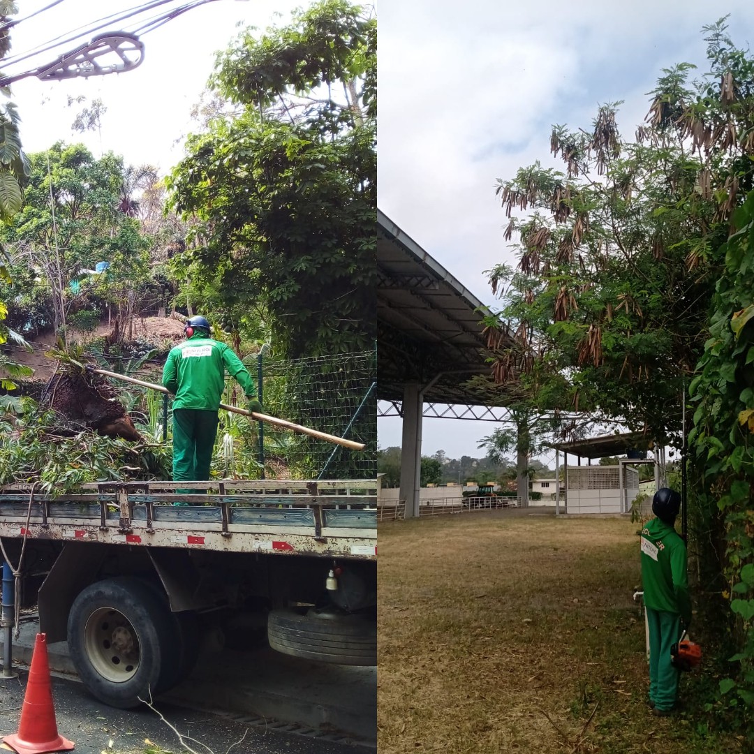 AÇÕES DA EQUIPE DE ARBORIZAÇÃO URBANA DIA 30/09/2021