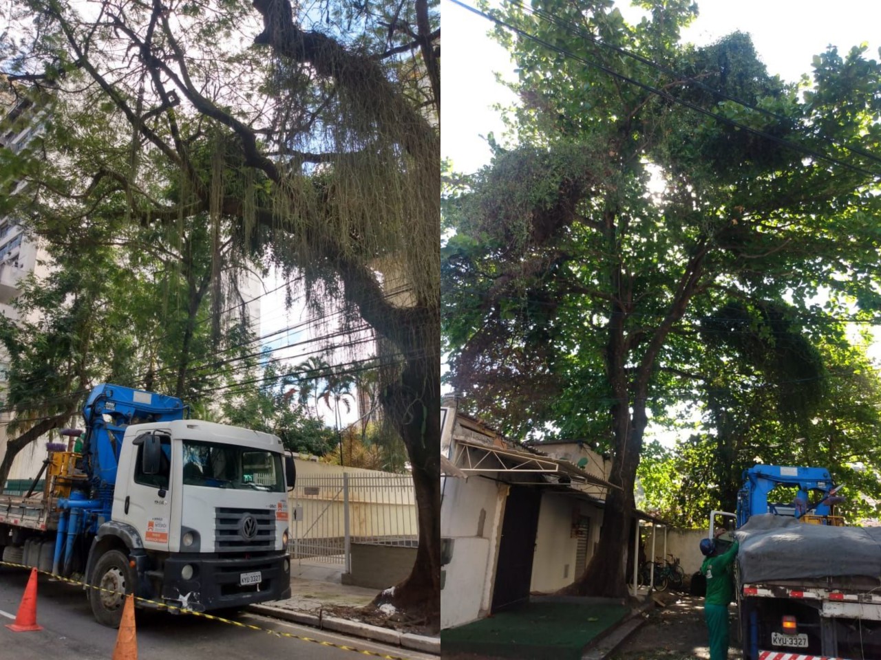 AÇÕES EQUIPES DE ARBORIZAÇÃO URBANA DIA 13/10/2021