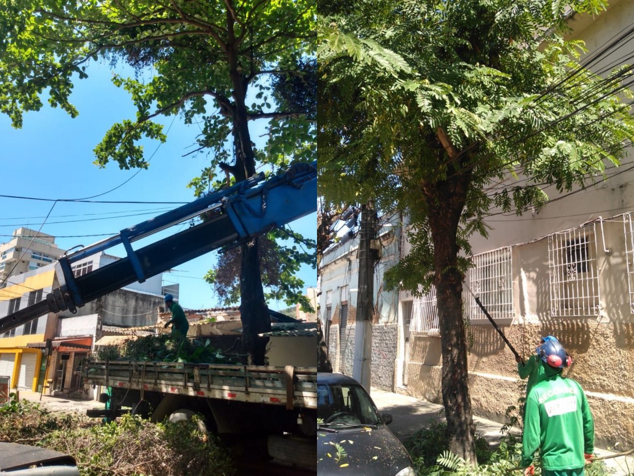 AÇÕES EQUIPES DE ARBORIZAÇÃO URBANA DIA 14/10/2021