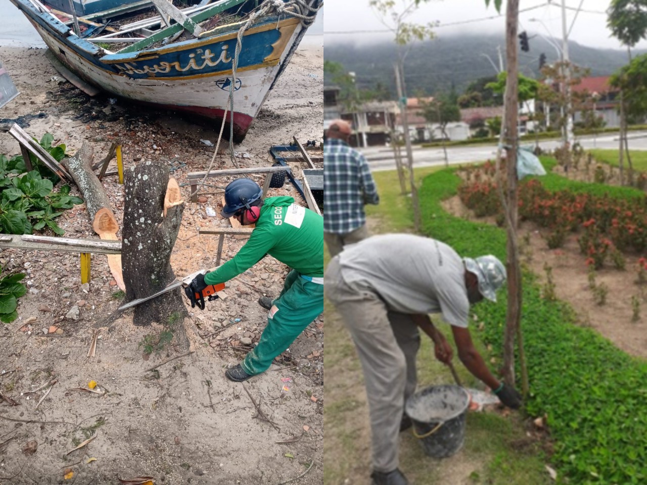 Ações das equipes de Arborização Urbana (27/10/2021)