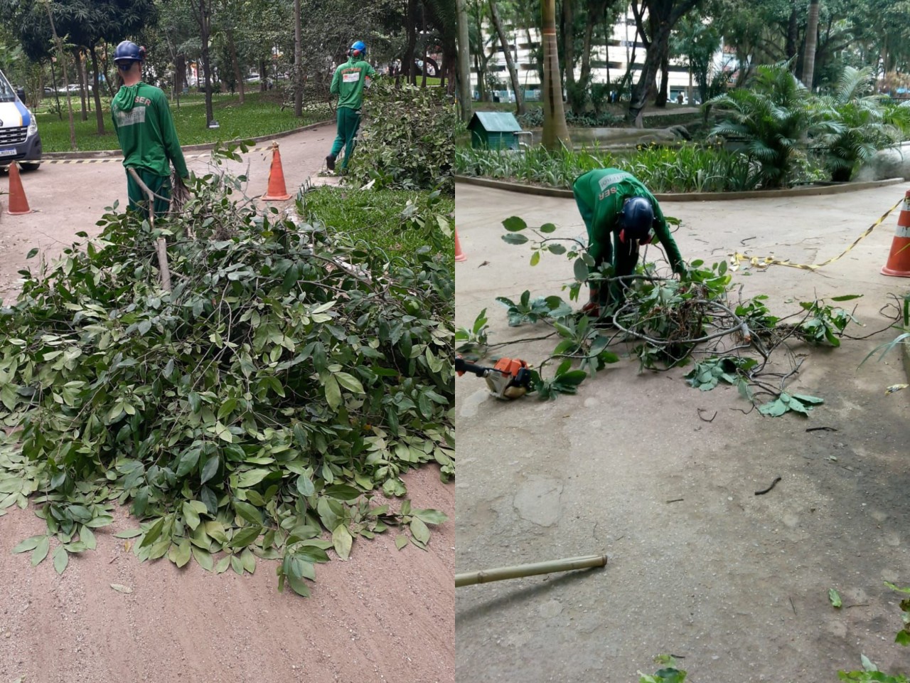 Ações das equipes de Arborização Urbana (28/10/2021)