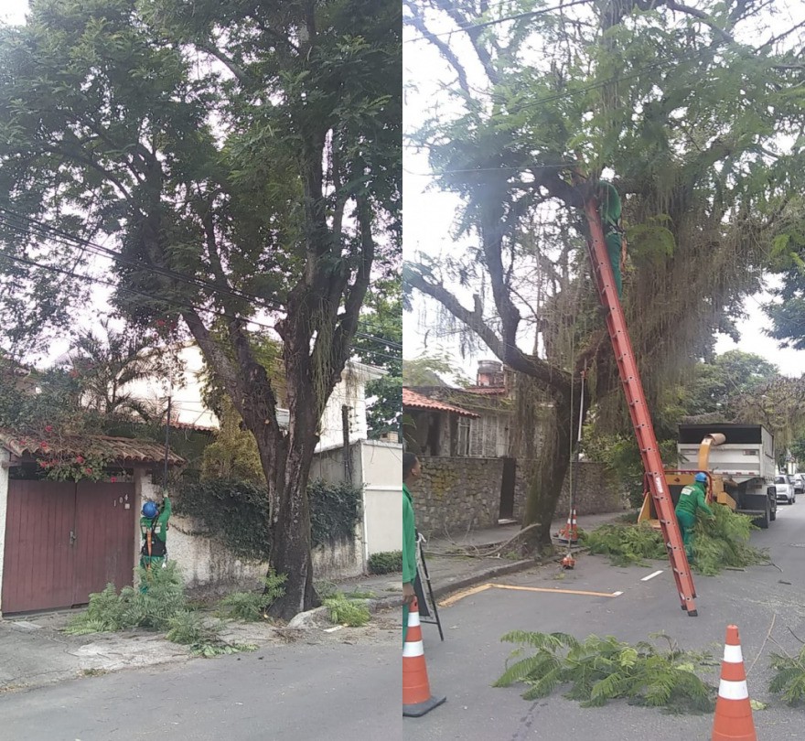 AÇÕES EQUIPES DE ARBORIZAÇÃO URBANA DIAS 03/12, 04/12 e 05/12/2021