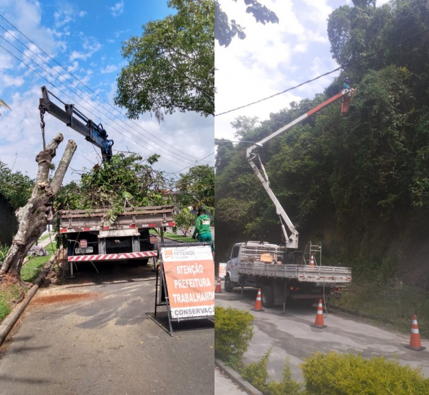 AÇÕES EQUIPES DE ARBORIZAÇÃO URBANA DIA 06/12/2021