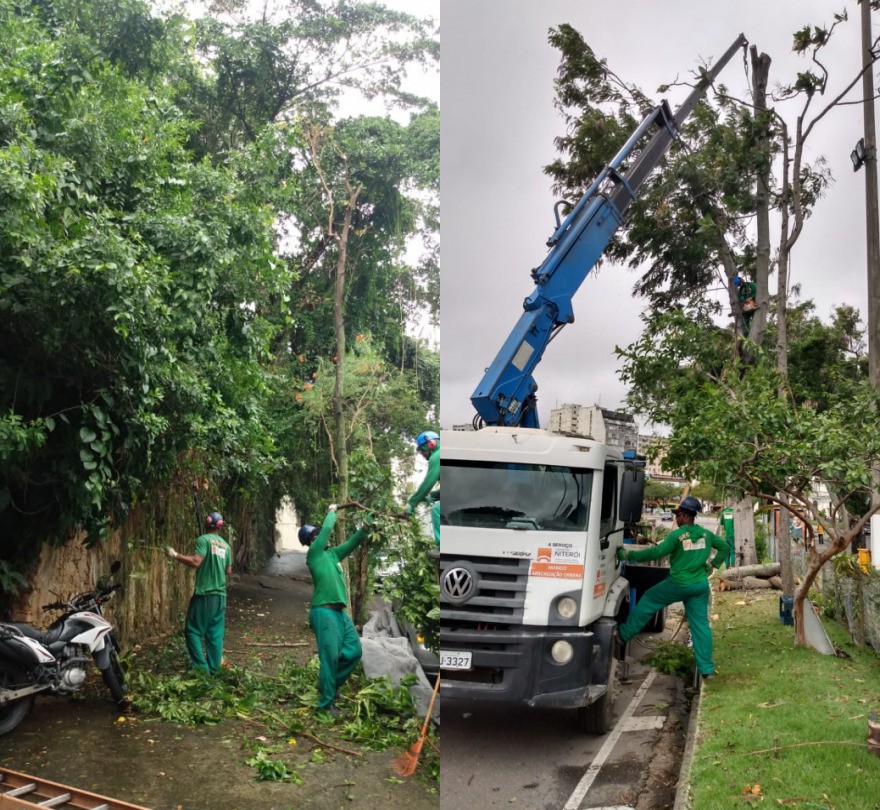 AÇÕES EQUIPES DE ARBORIZAÇÃO URBANA DIA 08/12/2021