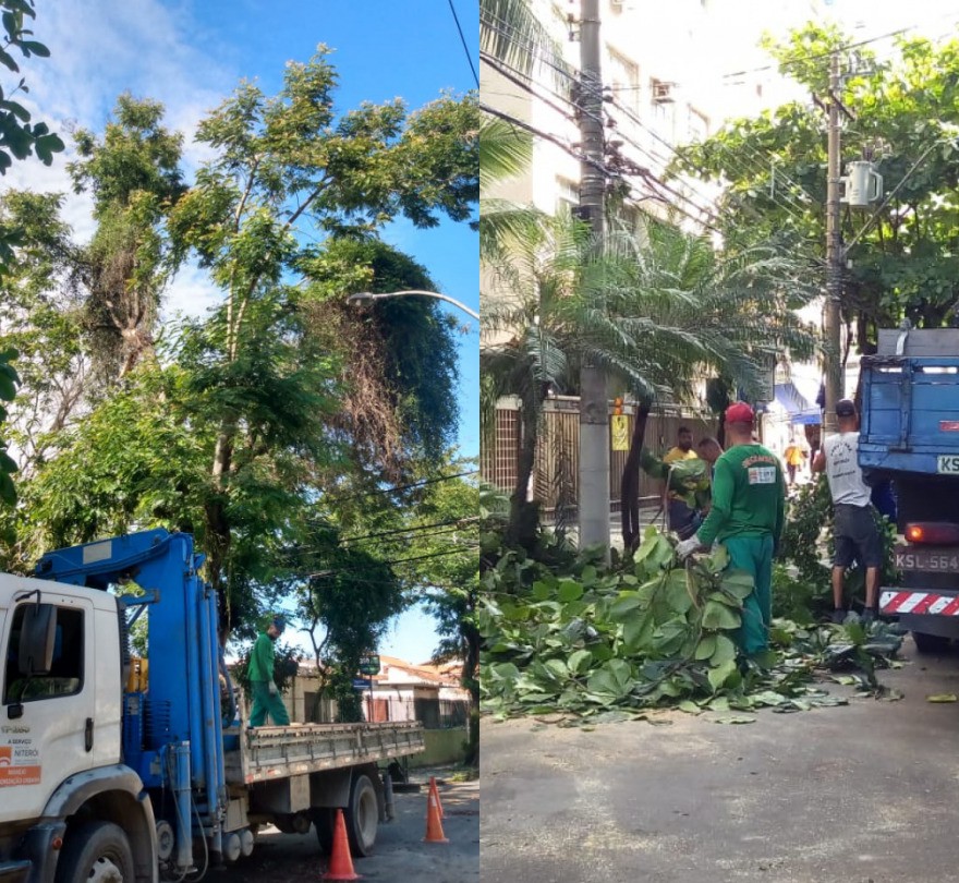 AÇÕES EQUIPES DE ARBORIZAÇÃO URBANA DIA 13/12/2021